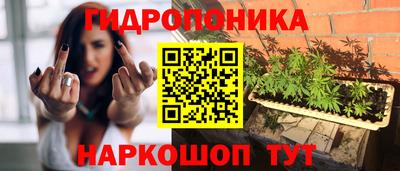 эйфоретик Жуковский