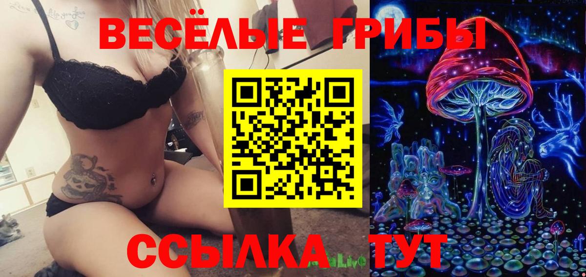 Псилоцибиновые грибы мухоморы  Галлюциногенные грибы Psilocybe  Кострома  купить наркотики цена  Вход с VPN 